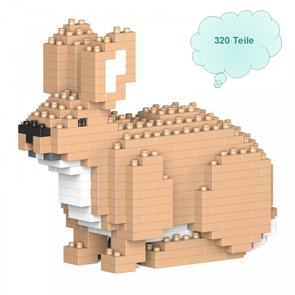 Jekca Hase