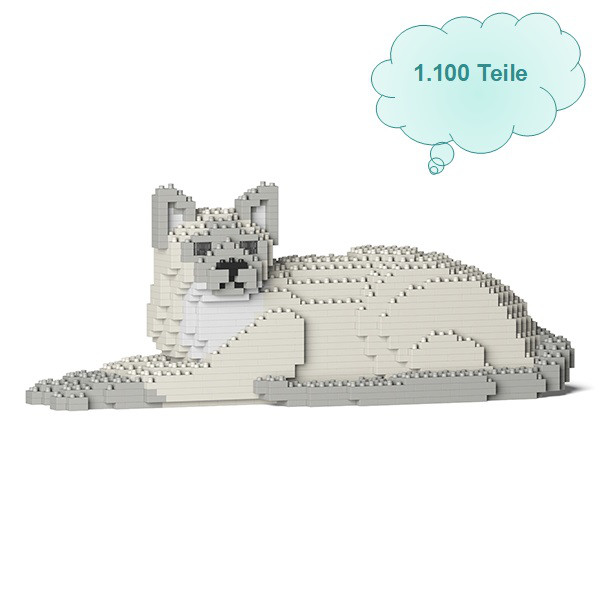 Jekca Katze Tonkanese liegend